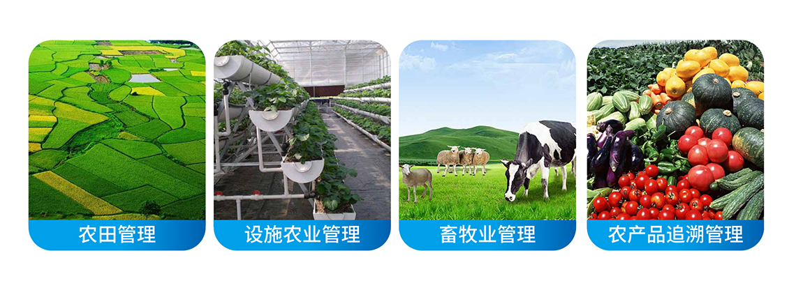智慧農(nóng)業(yè)管理平臺(tái)應(yīng)用場(chǎng)景圖.jpg